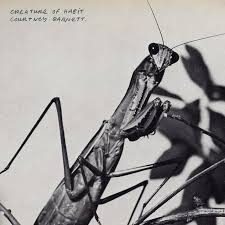 Courtney Barnett: Creature of Habit Album Review
