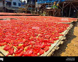 Image of Cambodian children drying chili peppers under the sun in a vibrant stilt village