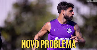 Meu Timão
