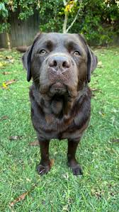 ¡Nadie es perfecto, pero el amor lo es todo!