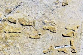 Oldest North American footprints found - Miscellaneous and Personal Stuff I Must Share - Straight Dope Message Board