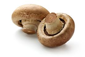 Image result for MUSHROOMS