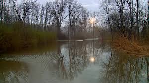 ‘Evacuate now’ as Muskegon River levels continue to rise, Newaygo County officials warn