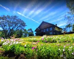 Gambar Taman Bunga Villa Afdeling Jampit Bondowoso