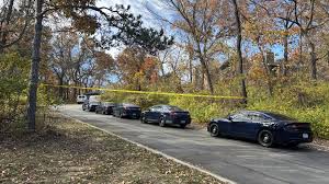 Investigation underway following police shooting Sunday morning in Northland