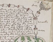 Immagine di Voynich Manuscript high resolution botanical and biological pages details