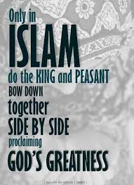 75+ Beautiful Islamic Quotes About Life With Pictures &amp; Images via Relatably.com