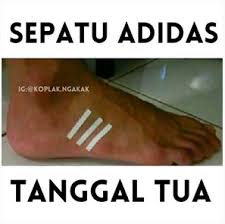 Hasil gambar untuk dunia koplak