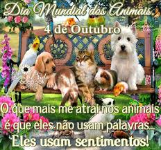 Resultado de imagem para dia mundial dos animais