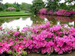 Image result for photos of beautiful scenery