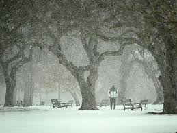 Live: Schools delayed, black-ice warning issued after storm