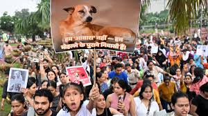 The Hindu - News update