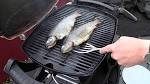 Fisch weber grill