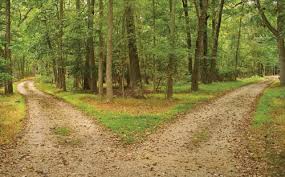 Resultado de imagen de caminos distintos