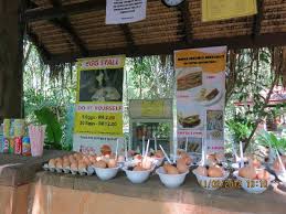 Hasil carian imej untuk hot spring sungkai perak