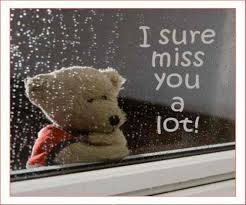 Miss You Funny Quotes. QuotesGram via Relatably.com