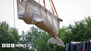 Trend Google: beluga