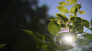 Warm Weekend in Southern California