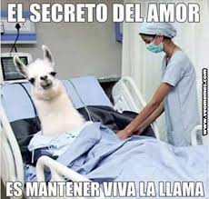 Resultado de imagen de memes chistosos