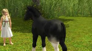 Image result for HORSE