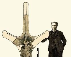 Image of Edward Drinker Cope Amphicoelias fragillimus drawing 1878 vertebra