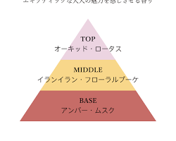 香りのピラミッド図の画像