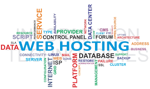 Image result for website hosting