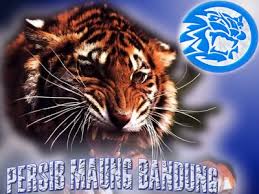 Hasil gambar untuk persib bandung