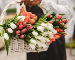 bouquet for a womanの画像