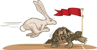 Image result for tortoise and the hare