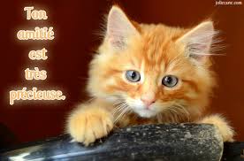 Résultat de recherche d'images pour