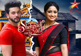 स्टार प्लस पर नया शो, ‘शहजादी है तू दिल की’ 4 दिसंबर से, यह होगी टाइमिंग