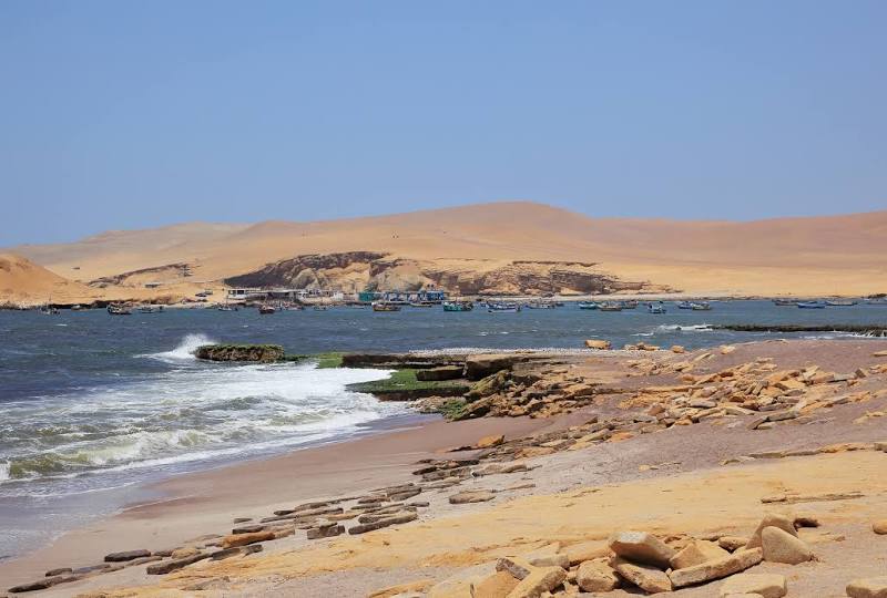 Paracas National Reserve