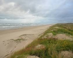 Image of Padre Island National Seashore, Texas