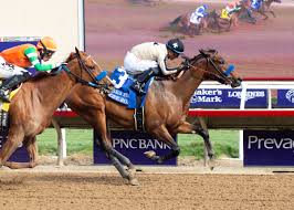 Stable Notes November 30, 2025