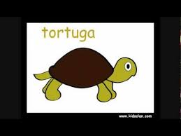 Bildresultat för los animales en espanol