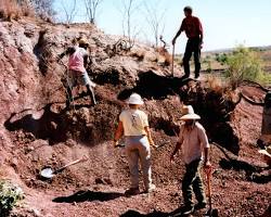 Paleontologists excavating fossils resmi