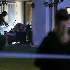 SVT Nyheter - News update