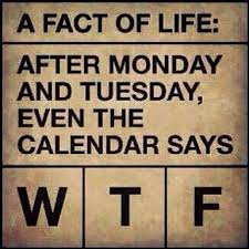 Top 25 Funny Instagram Pics Posts - Cute Instagram Quotes | This ... via Relatably.com