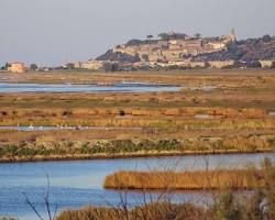 Immagine di Riserva Naturale della Diaccia Botrona