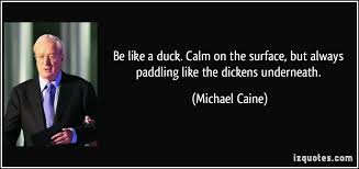 Famous quotes about &#39;Like A Duck&#39; - QuotationOf . COM via Relatably.com