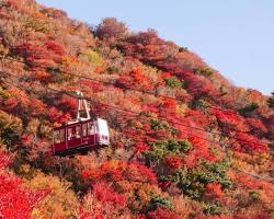 雲仙の紅葉の画像