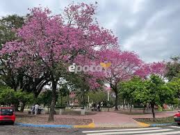 Diario Época Corrientes - News update