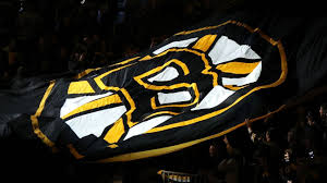 Bruins turn to ex-forward Sturm as head coach