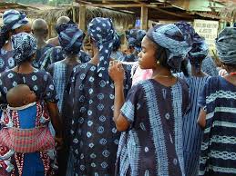 Image result for african indigo
