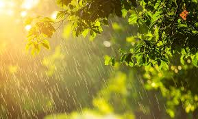 Clima Villahermosa