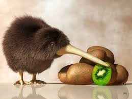 Resultado de imagen de gifs de kiwi