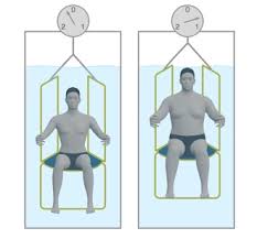 Image result for hydrostatic weighing