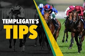 ‘He’s exciting and arrives after a massive personal best’ – Templegate’s 6-1 NAP