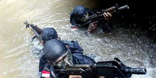 Image result for kopassus indonesia